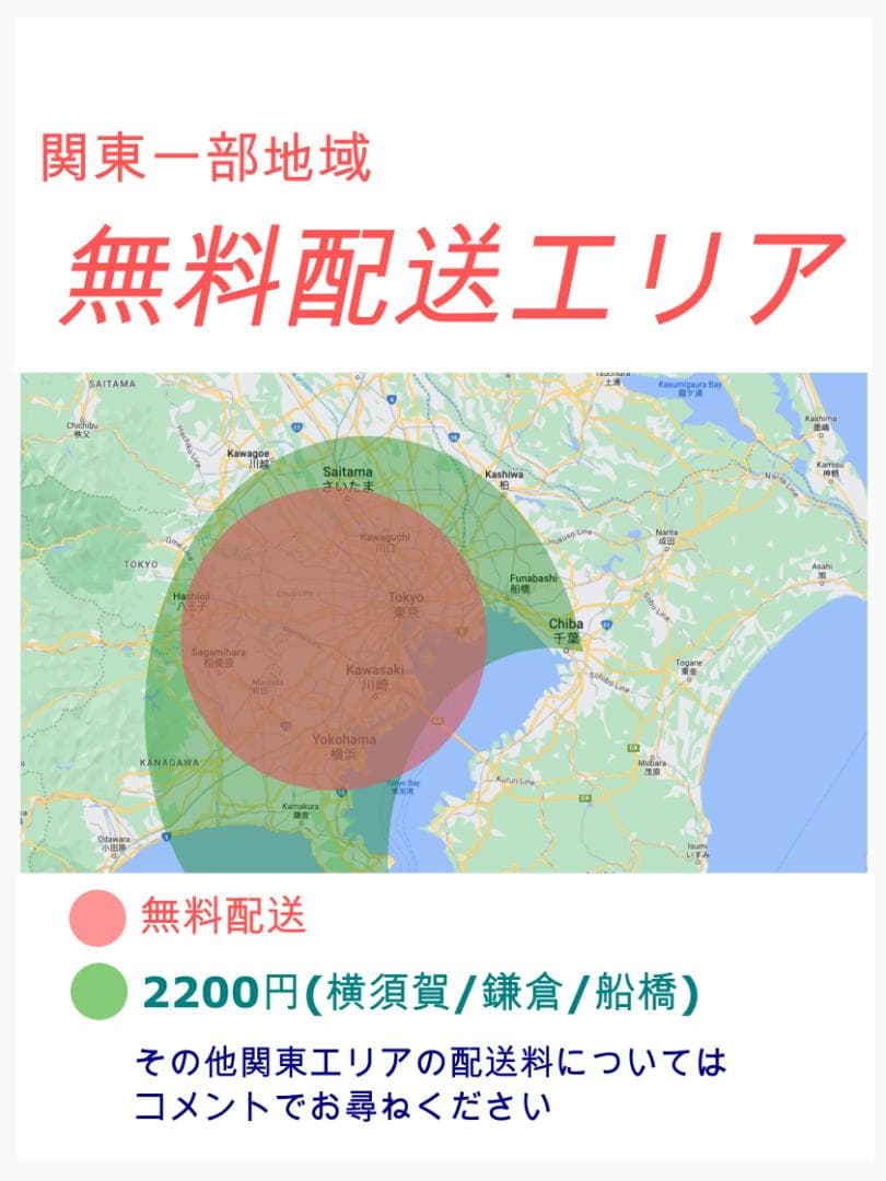 超人気色 王様 ギュットアニーズ子供乗せ電動アシスト自転車 H1895