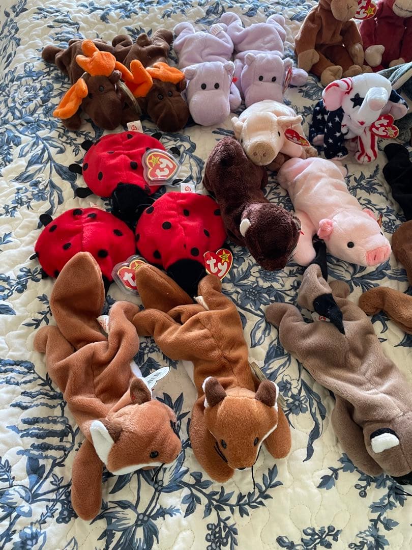 【セール中！】ビーニーベイビーズ関連コレクターズアイテム