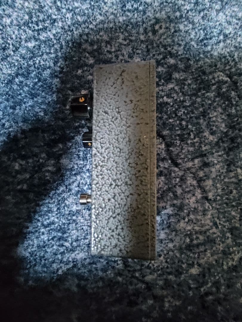 テ*リ様 EarthQuaker Devices White Light アース