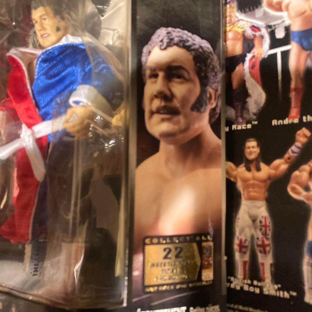 WWEクラシック10 ハーリーレイス