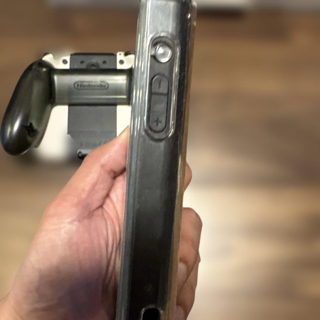 【超美品】Switch あつまれどうぶつの森セット