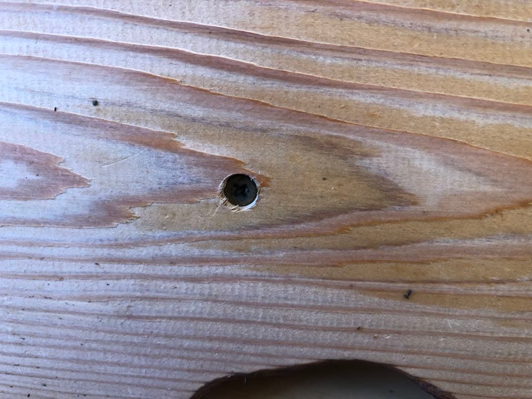 昇龍　置物　木製木彫り　彫刻　オブジェ　屋久杉？