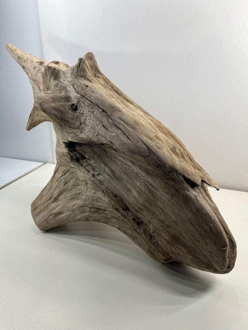 V68特大流木 アク抜き済み流木 爬虫類シェルター 登り木 インテリア 生け花