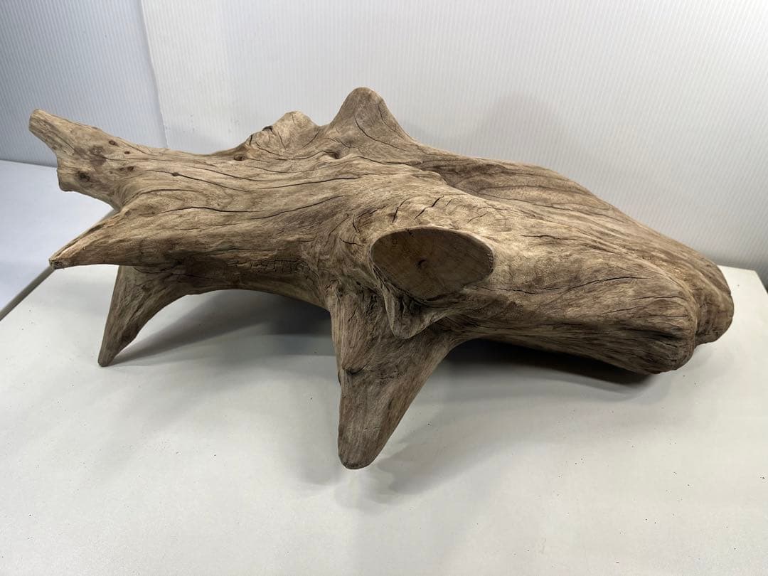 V68特大流木 アク抜き済み流木 爬虫類シェルター 登り木 インテリア 生け花