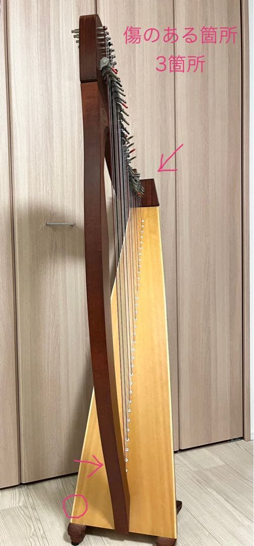 Salvi MIA 34弦 レバーハープ アイリッシュハープ チューナー&カバー