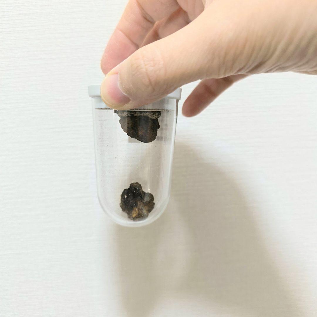 【希少】パラサイト石鉄隕石 (Pallasite) 標本 Sericho