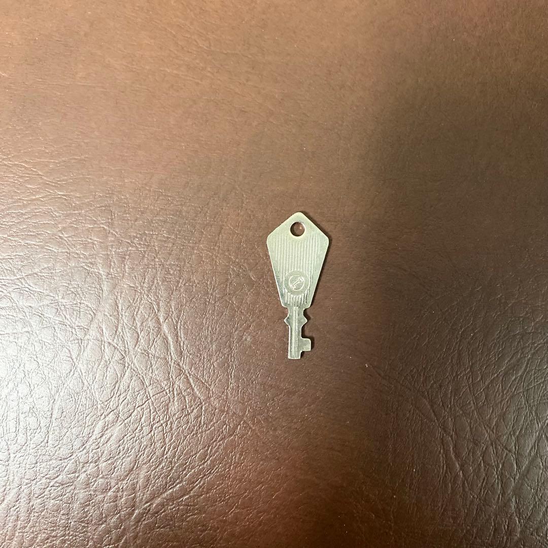 GEWAバイオリンケース ヴィンテージ