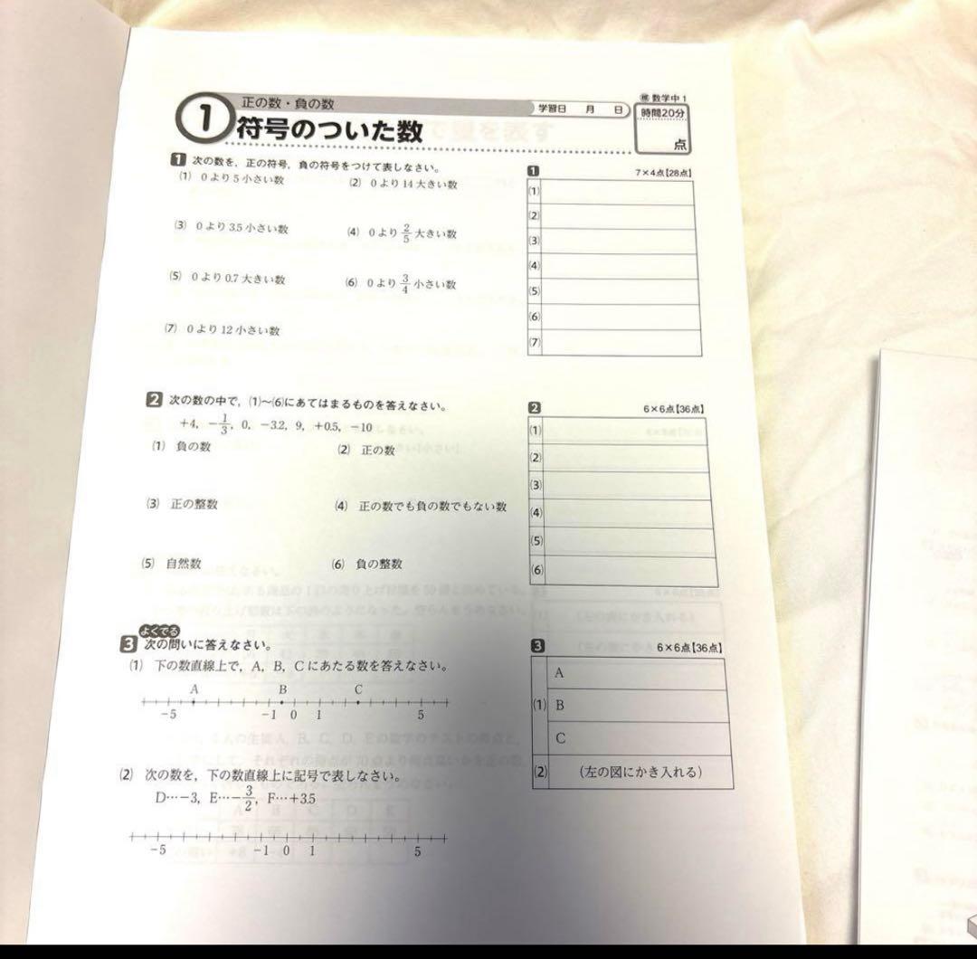 中学　教材 数英理＋国社 テスト対策 GROW-UP 指導書セット 美品