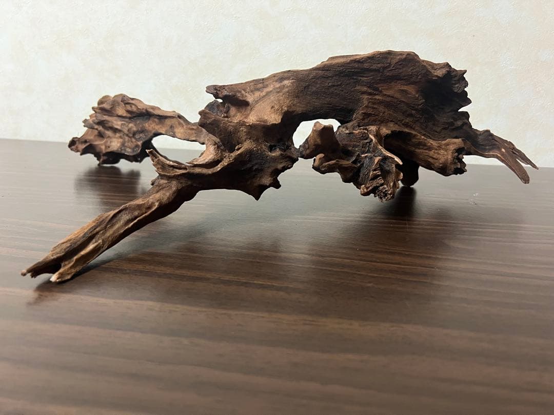 HX-057流木　マシンガンウッド　ホーンウッド アクアリウム　ブランチウッド