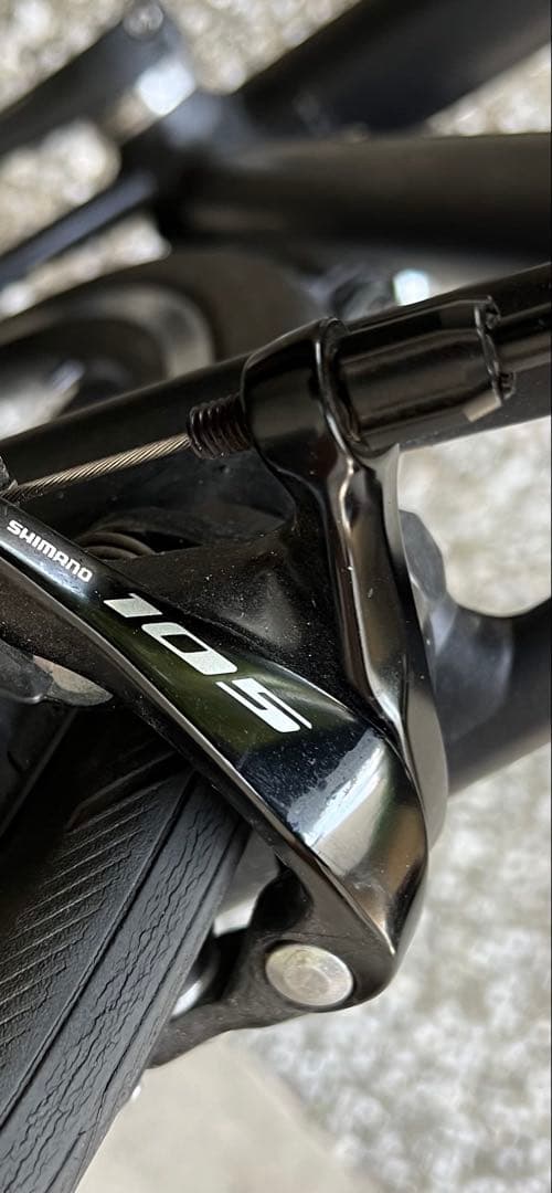 あおい　コーダブルームFARNA 105 2022 465mmお引渡し