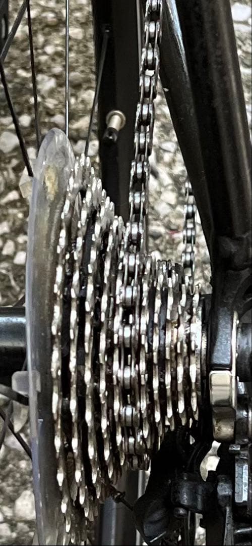 あおい　コーダブルームFARNA 105 2022 465mmお引渡し