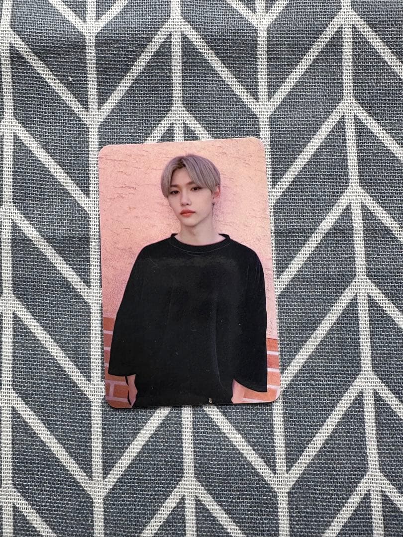 Stray kids GO生SUBK フィリックス トレカ 特典  フィリックス