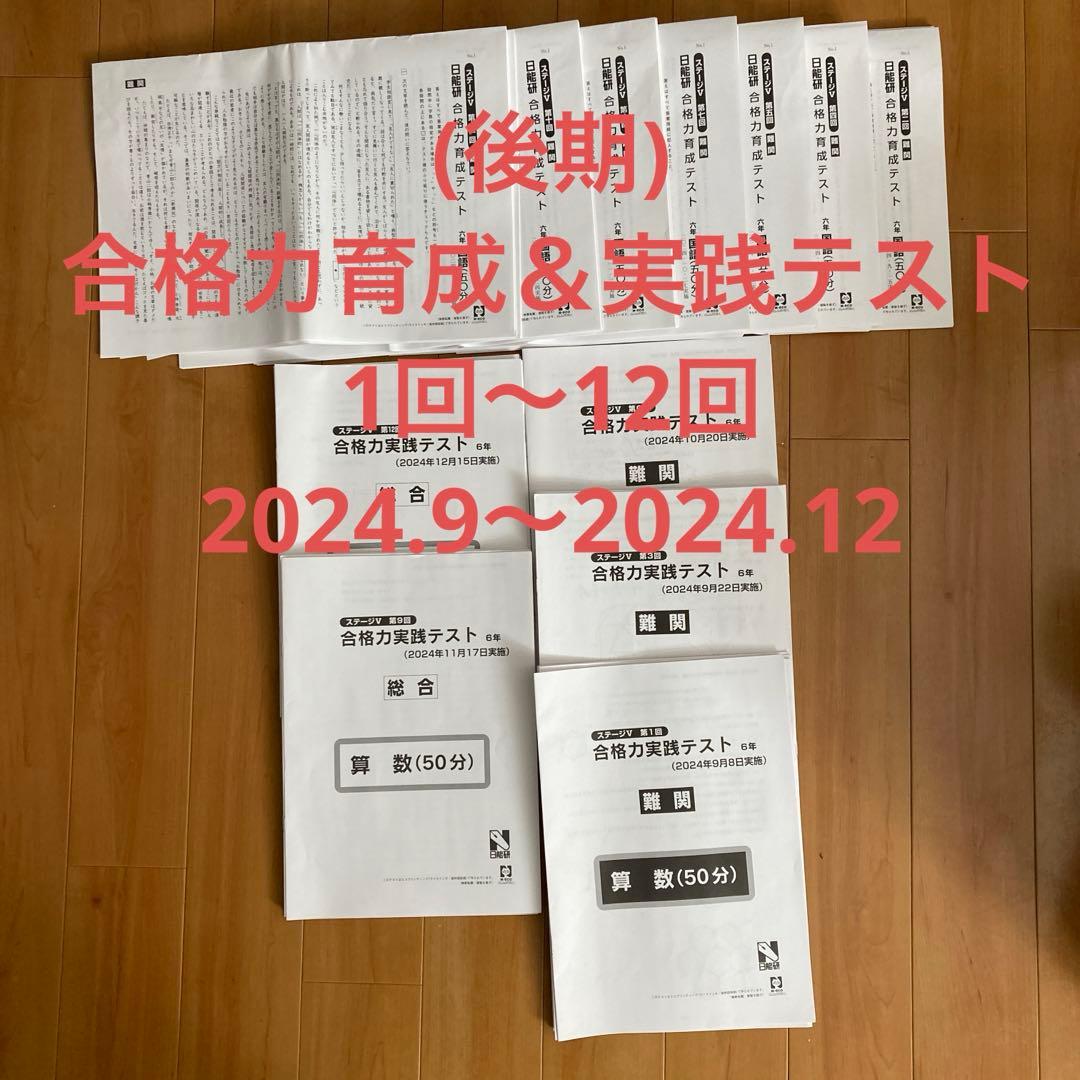 最新！日能研2024年6年生 全国公開模試　育成テスト等フルセット