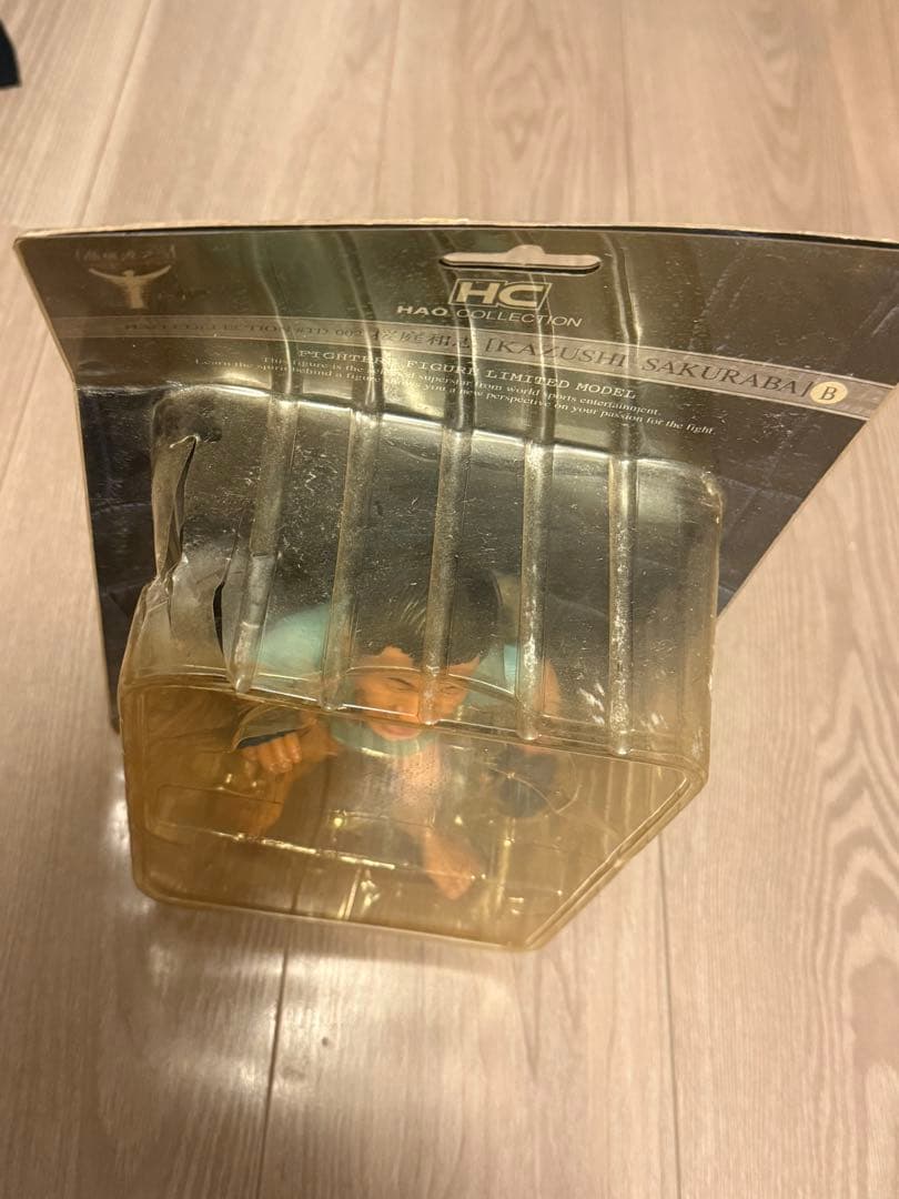 桜庭和志　フィギュア　HAO COLLECTION