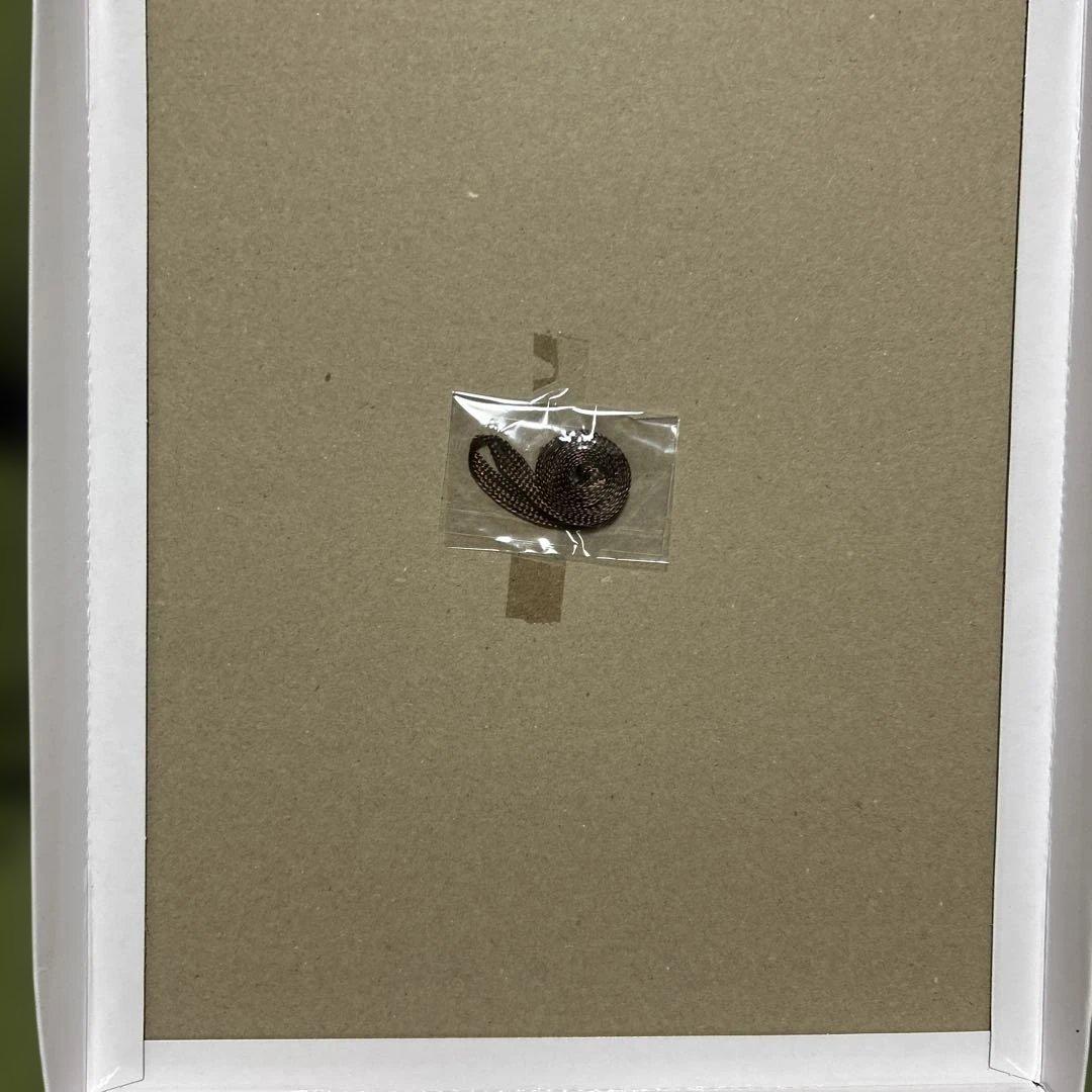 異世界迷宮の最深部を目指そう　8巻カバーイラスト　A5 キャラファイングラフ