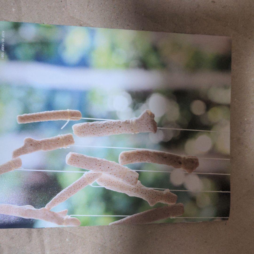 Cocco ２５周年ベストツアー其の1.2.3初回生産限定盤。おまけつき。激レア