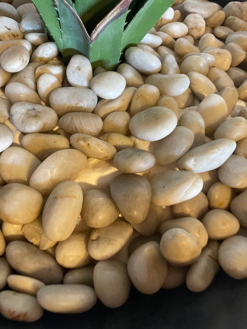 ドン・シェル・メタルウェアの鍾乳石花瓶スタンドとアロエの花瓶