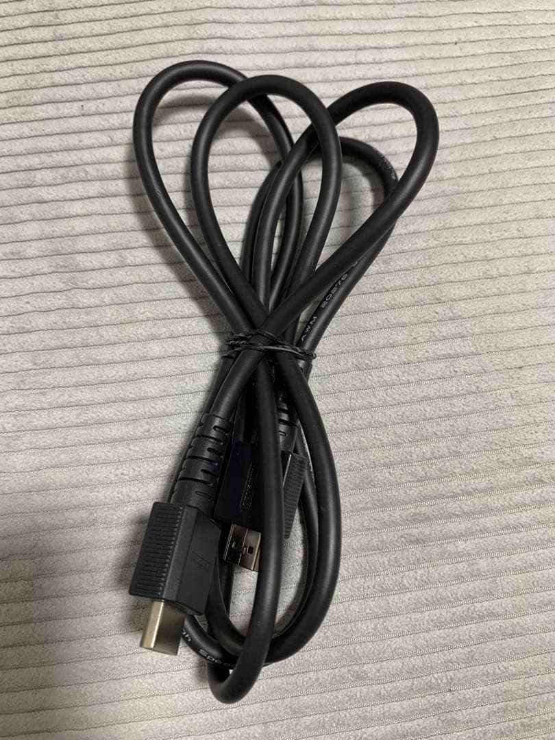 Nintendo Switch 本体+ジョイコンホルダー+ケース+大神絶景版