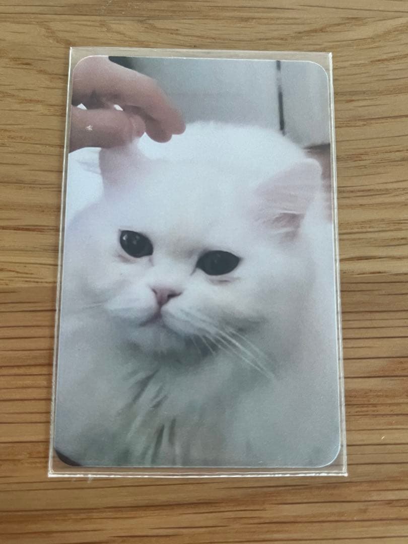 ムンビン サノク トレカ (ポッチャver.)