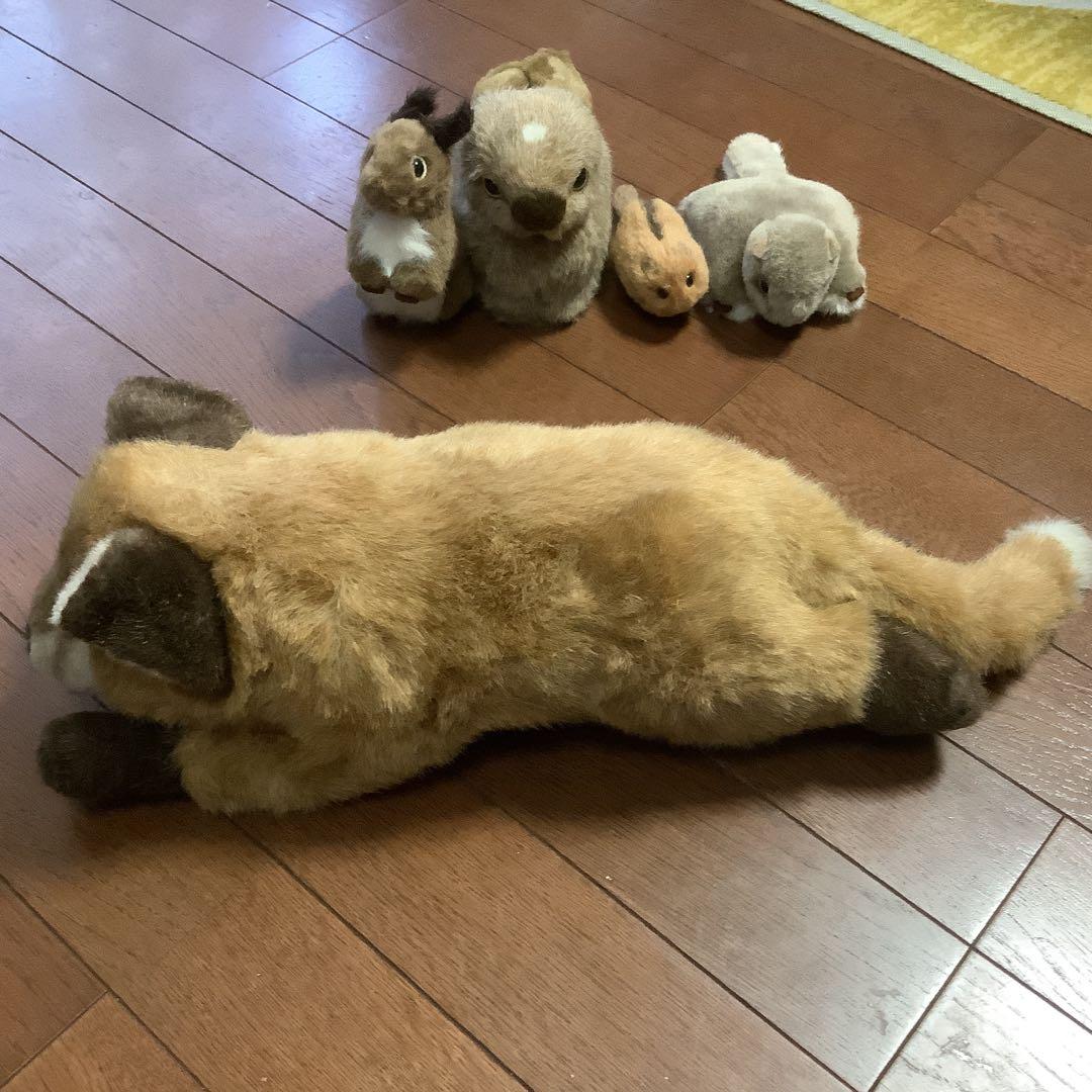 やまね工房　キツネ、エゾリス、モモンガ、やまね、野うさぎのぬいぐるみセット