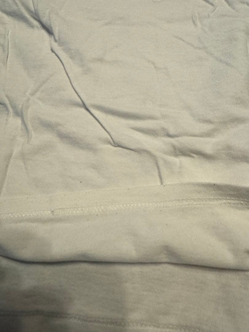 PINKFLOYD 白GILDANTシャツサイズS2008年コピーライト入り美品