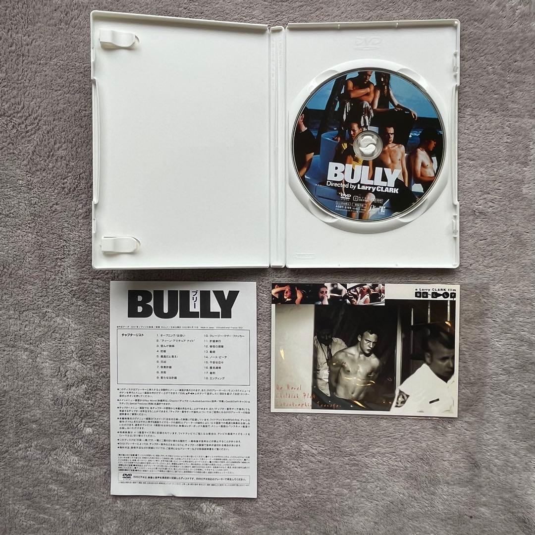 希少 Larry Clark 映画 BULLY パンフレット DVD セット