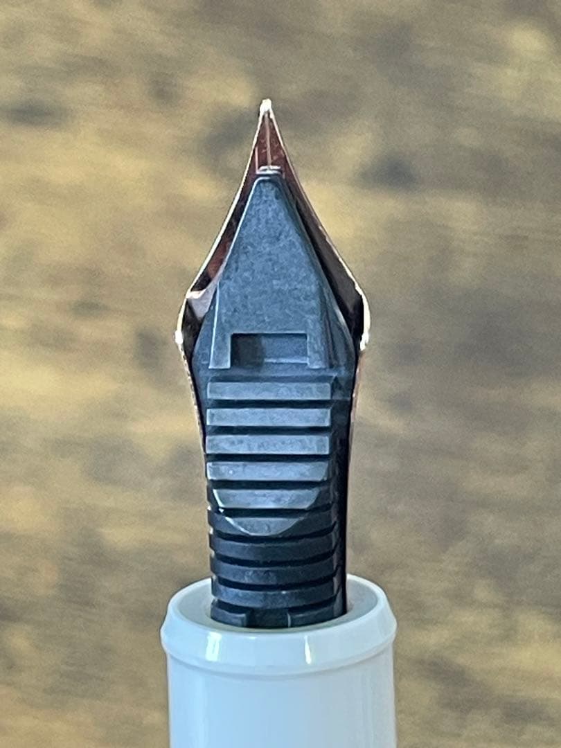 未使用　世界2000本限定　シェイプ・オブ・ハート　ブルーバード　万年筆　完品