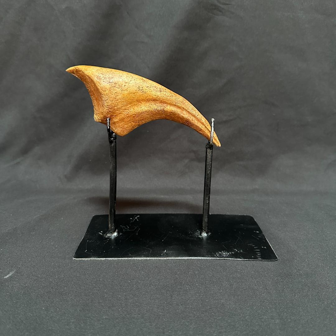 スピノサウルス ハンドクロウ かぎ爪 化石標本 肉食恐竜 獣脚類 1433