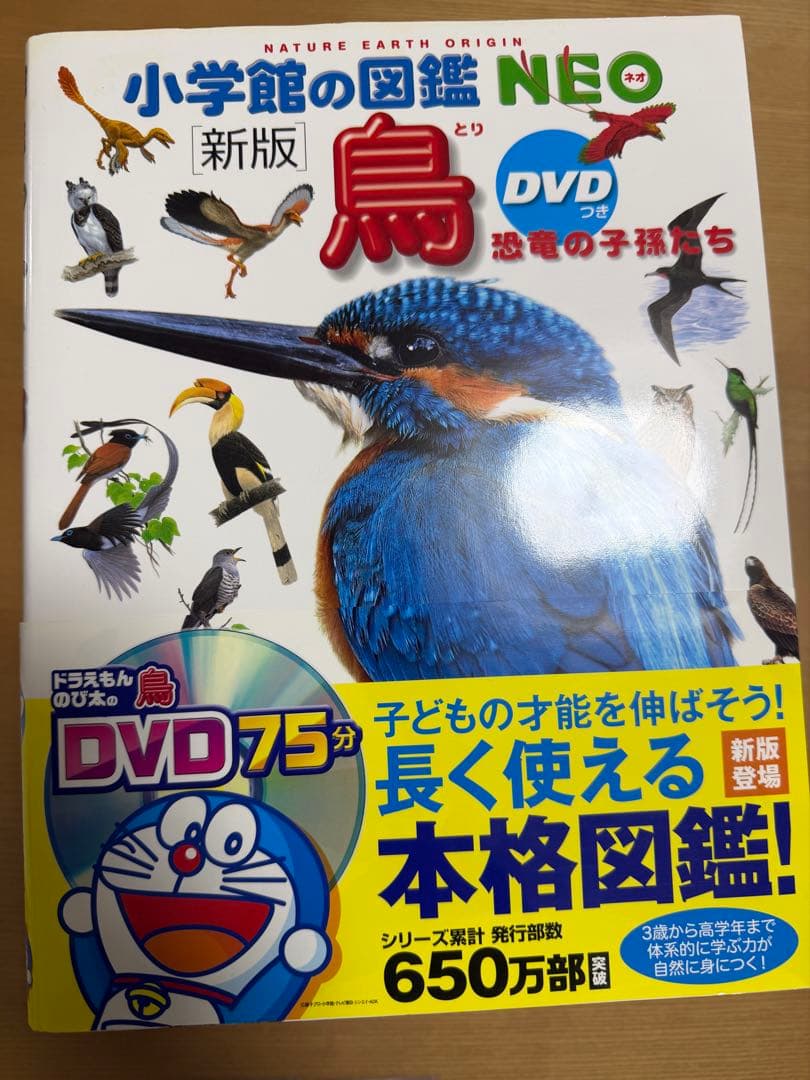 小学館の図鑑NEO 11冊セット　DVD欠品
