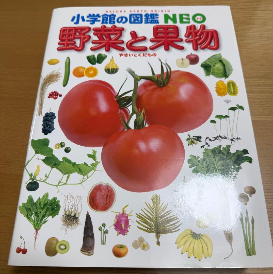 小学館の図鑑NEO 11冊セット　DVD欠品