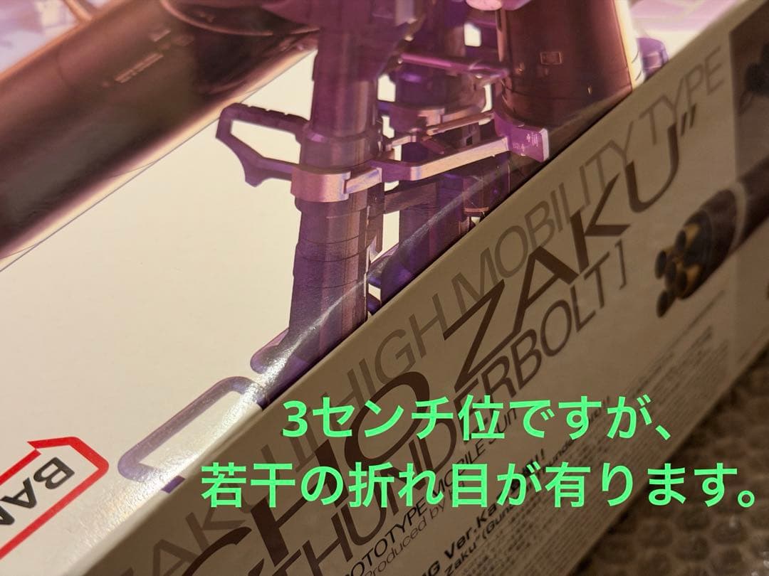 MG 1/100 高機動型ザク“サイコ・ザク” Ver.Ka サンダーボルト版