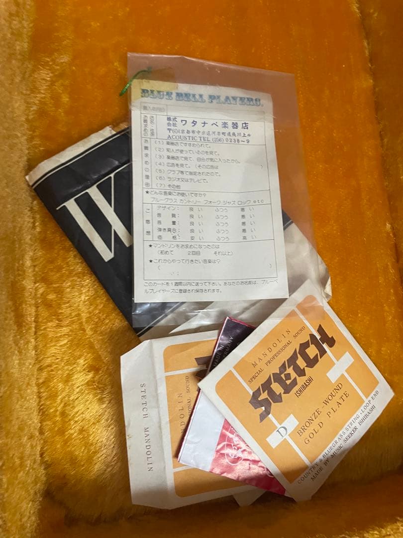 あおちゃん【希少】BlueBell フラットマンドリン 高級 FM-25