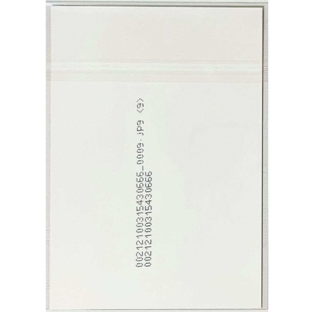 V系★BAROQUE【晃】FOOL'S MATE★ブロマイド★生写真★アー写