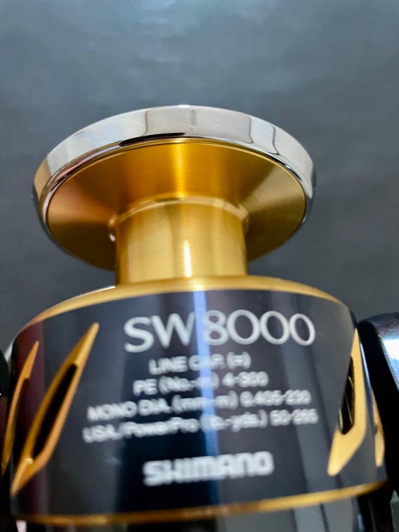 ステラ13 SW8000PG スピニングリール