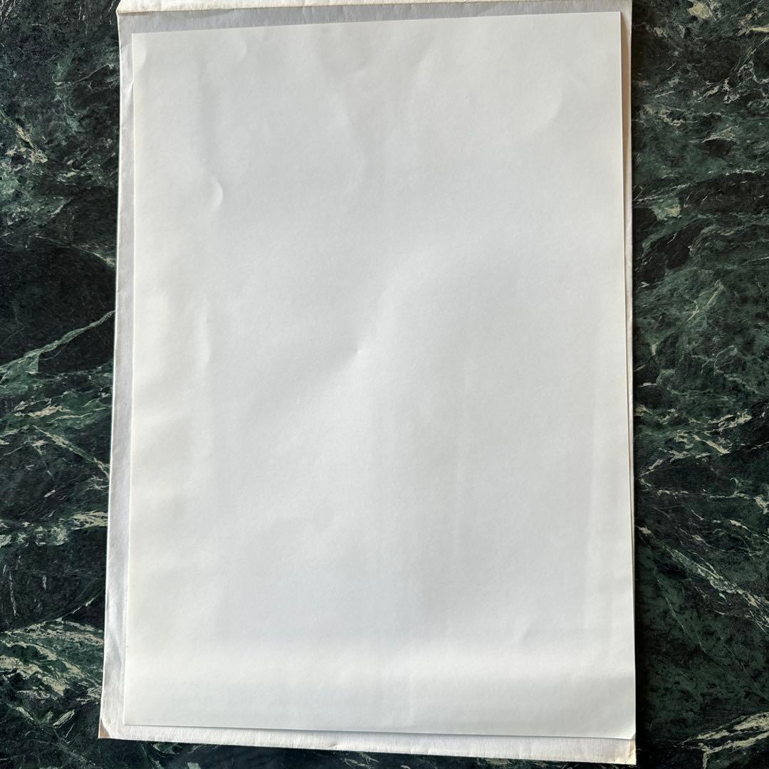 ドラゴンボール、鳥山明の世界展、複製原画、封筒A アートワーク 恐竜に乗った少年