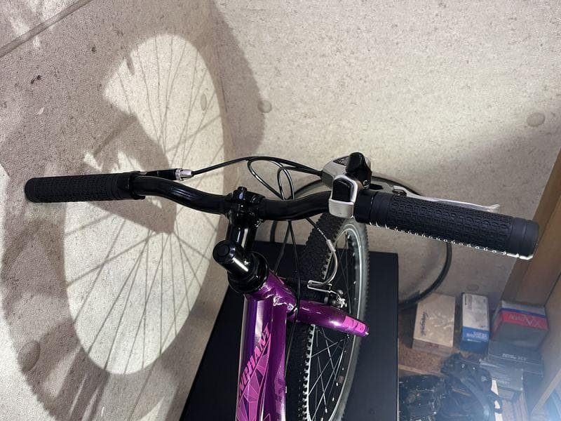 giant LIVパープル 20インチ キッズバイク 6速 Shimano