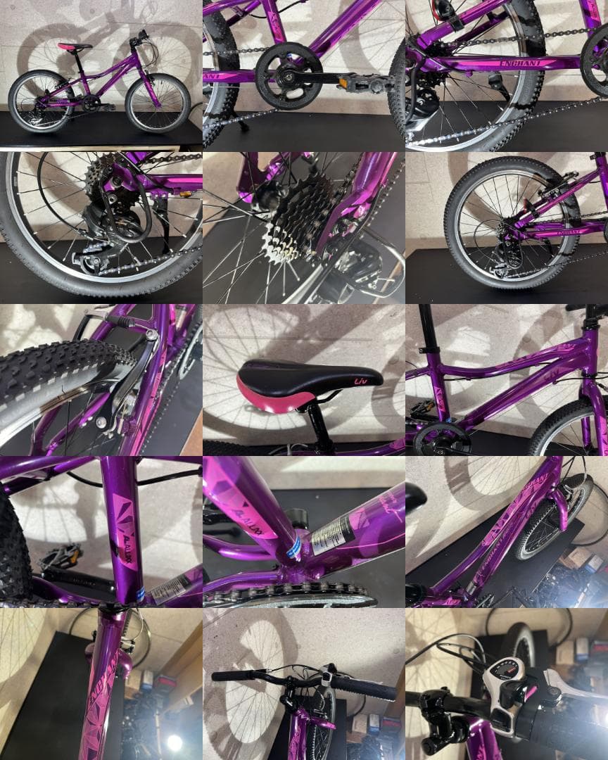 giant LIVパープル 20インチ キッズバイク 6速 Shimano