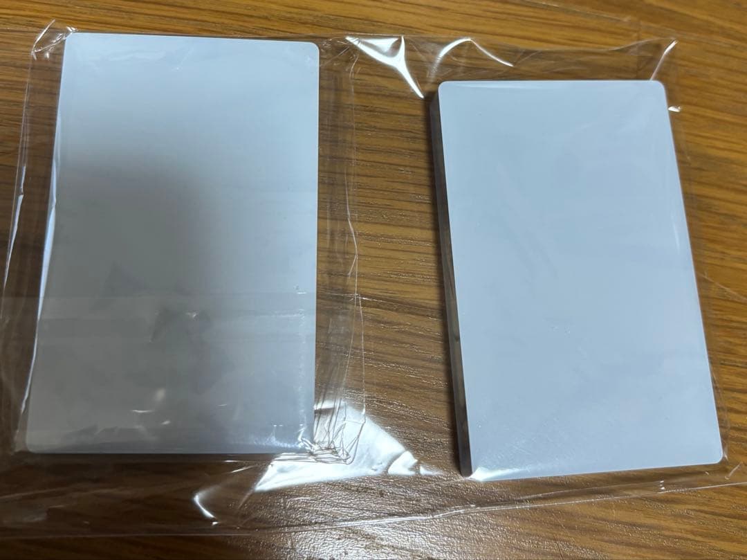 杉元　尾形　フィギュア