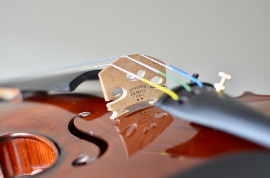 【極上響音】GLIGA Cristian gama1 4/4 きょうこ