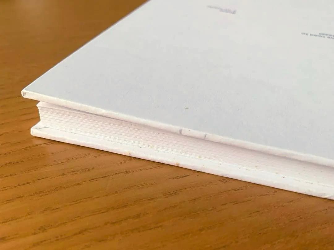 バーゼルへの道　ヘルムート・シュミット