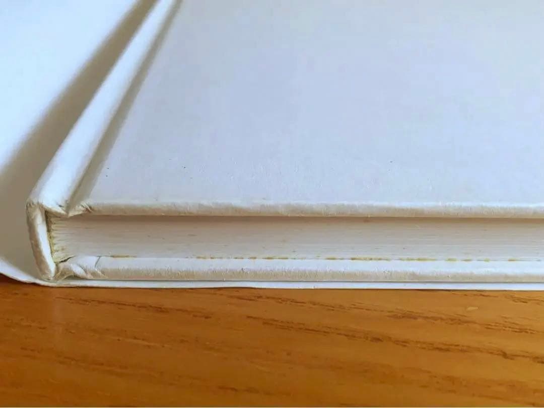 バーゼルへの道　ヘルムート・シュミット