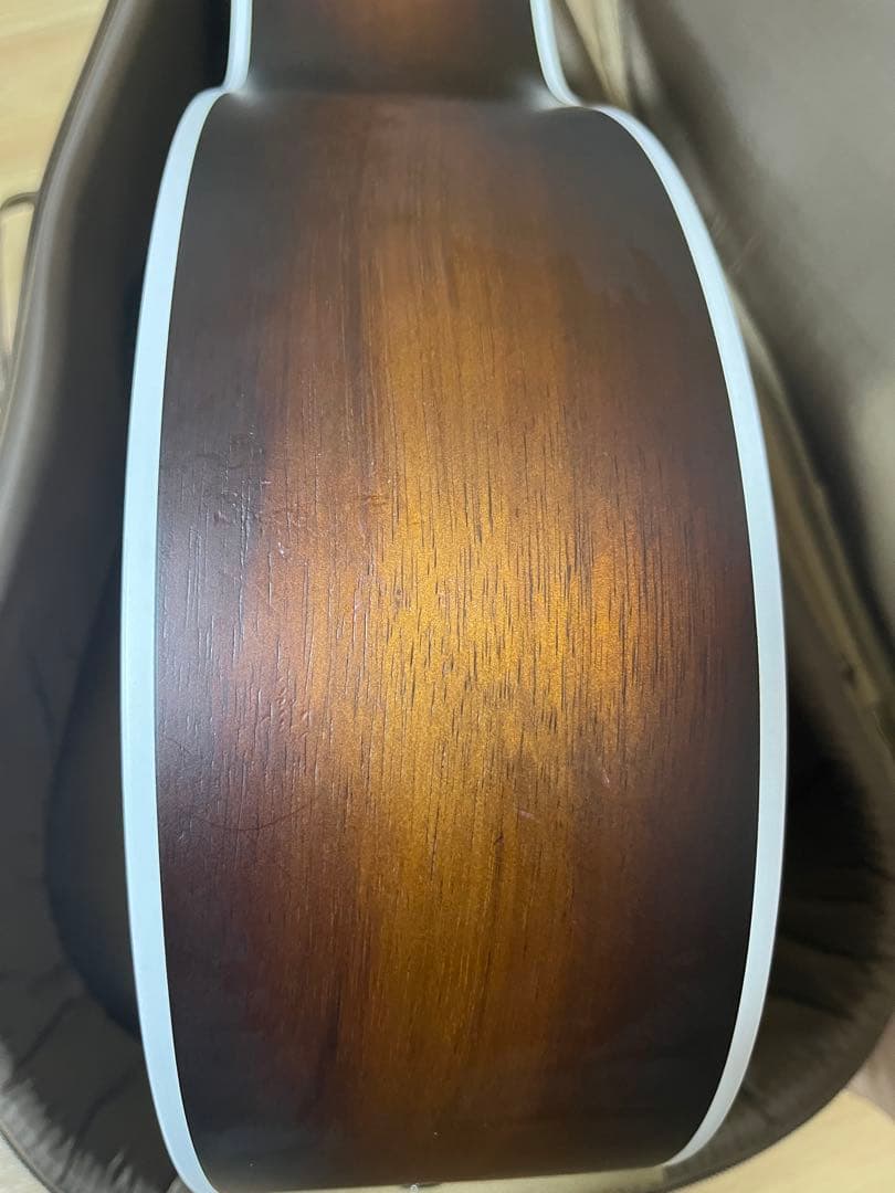 Taylor214ce-Koa SBギターケースピックカポ付き