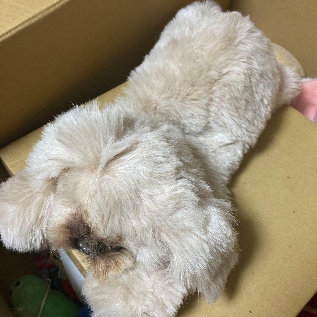 リアルな犬のぬいぐるみ　創美社