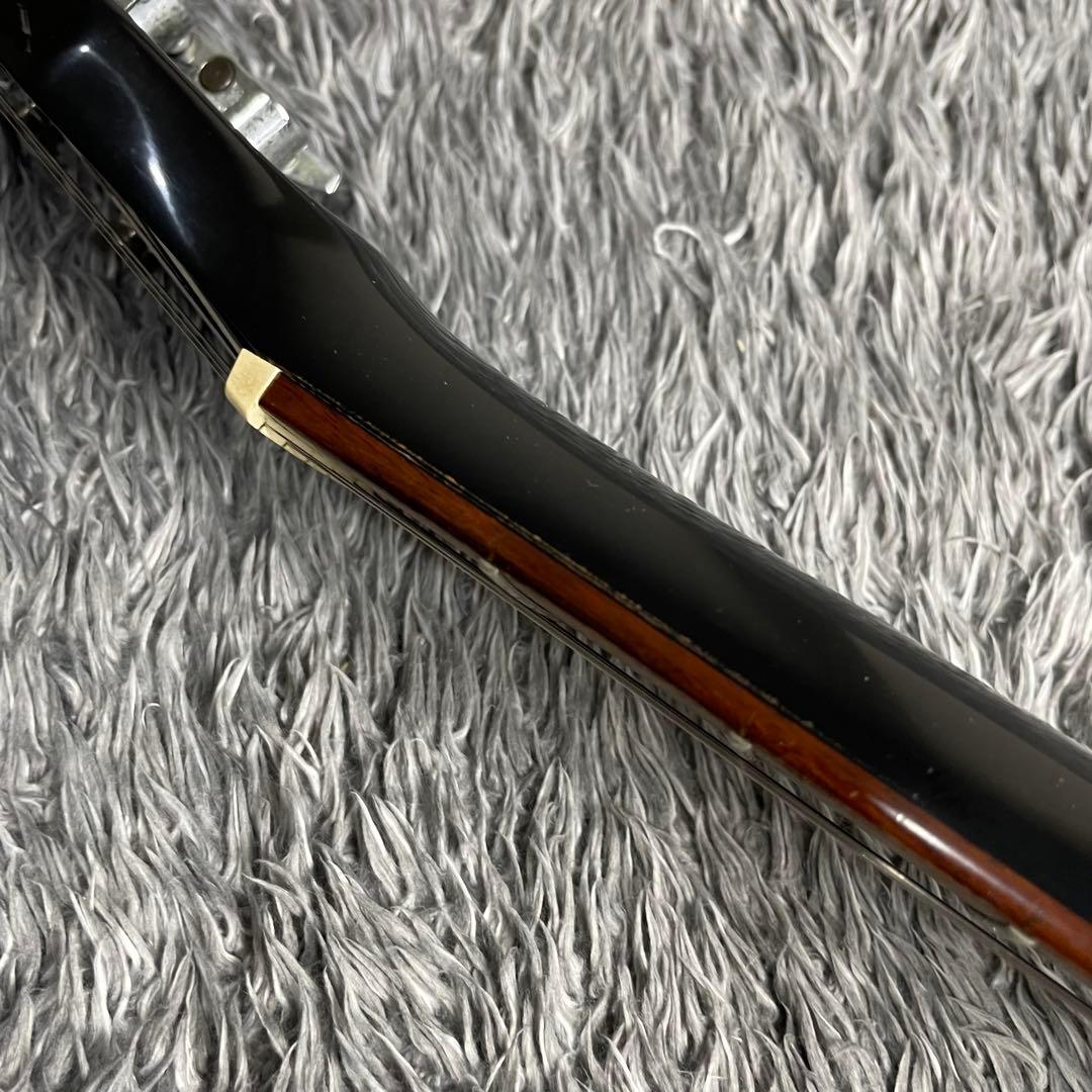 ギター GrassRoots G-I-48LP