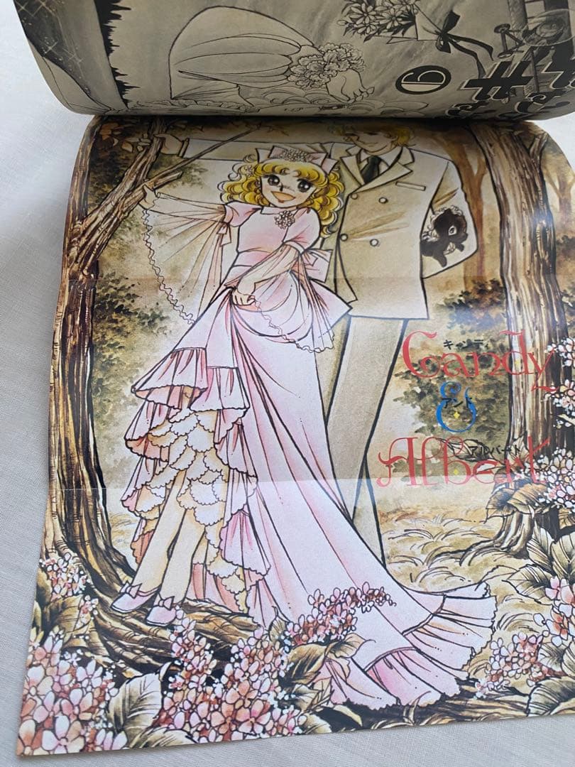 キャンディ・キャンディ 全巻セット (全9巻)