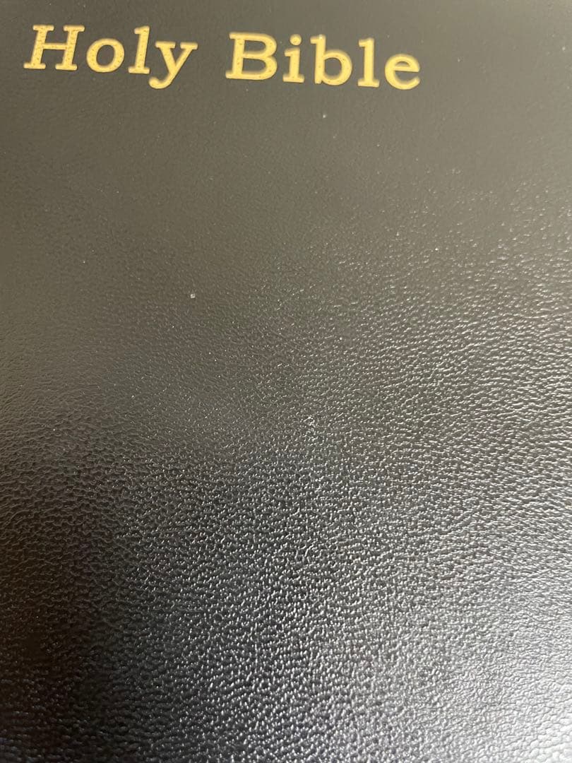 アート・デザイン・音楽 HOLY BIBLE MACK AMC