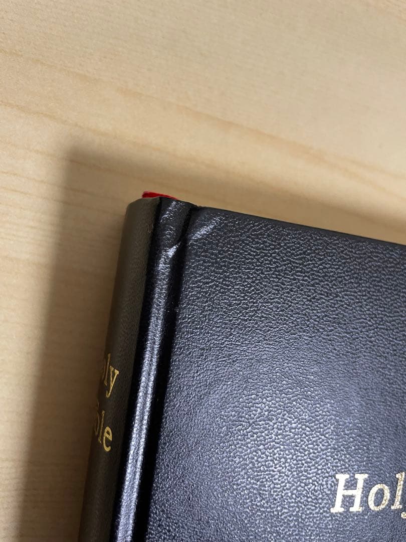 アート・デザイン・音楽 HOLY BIBLE MACK AMC