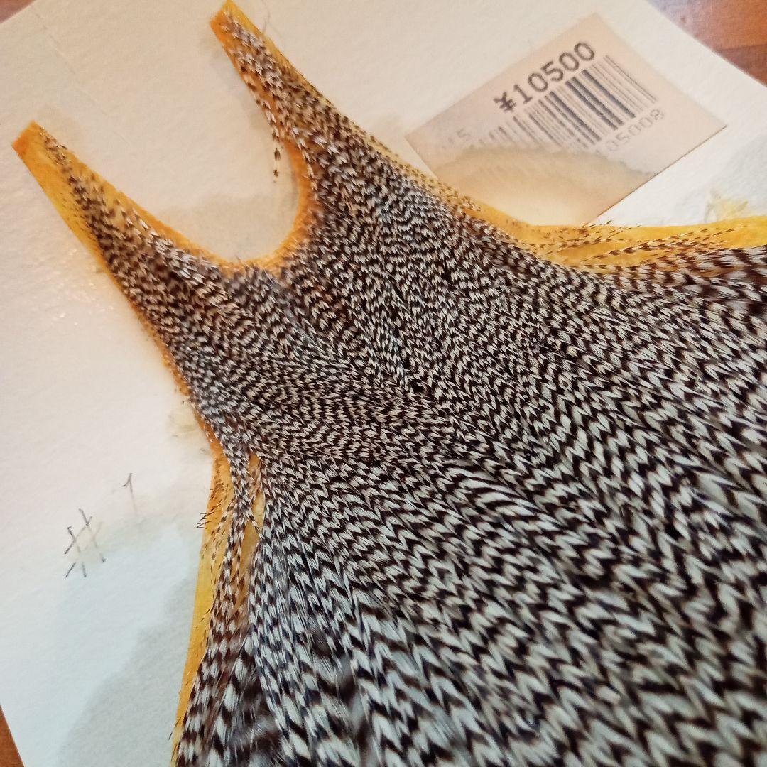 メッツ　コックネック　グリズリー 　♯1　ハックル