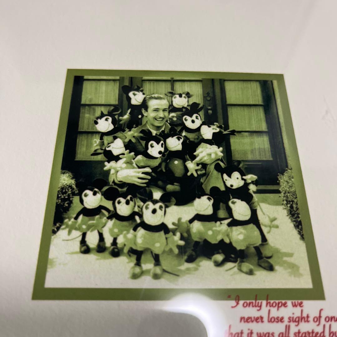 WOLT DISNEY 100周年 記念 250枚 シリアル入