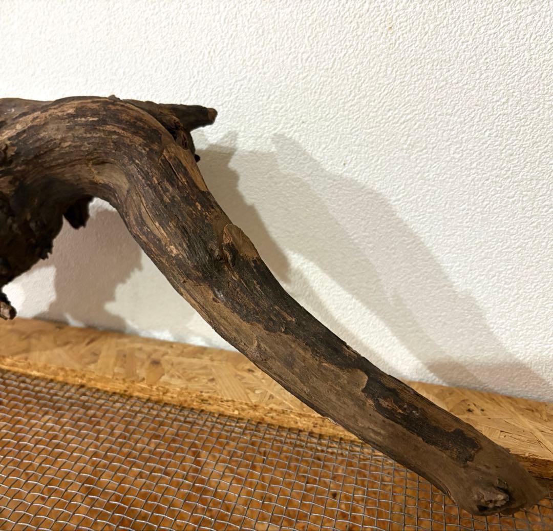 流木 水槽 爬虫類　レイアウト用品　3サイズセット